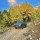 Cottonwood Pass Colors - September 2025
